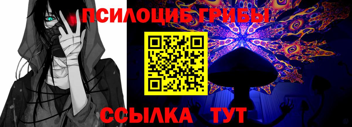 Псилоцибиновые грибы Psilocybine cubensis  Вход с VPN  Невинномысск 